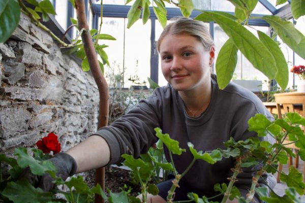 Advanced Plant Science and Landscape Design Diploma (Horticulture) Level 3