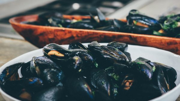 An Introduction to Cornish Shellfish Cookery