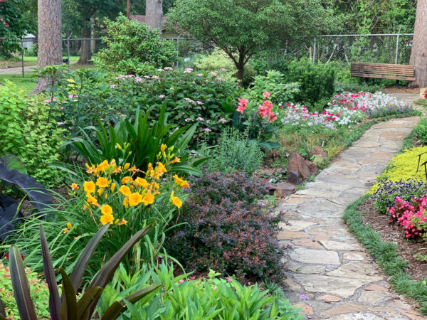 A cottage garden with lots of flowers