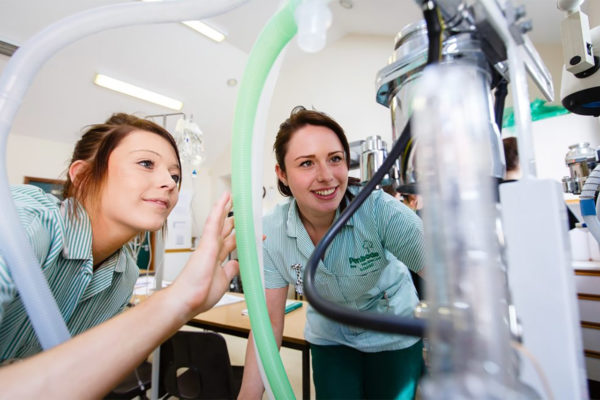 Veterinary nurses using diagnostic equipment