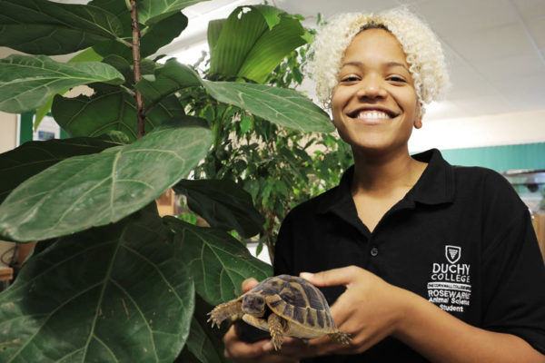 Rosewarne student holding a tortoise