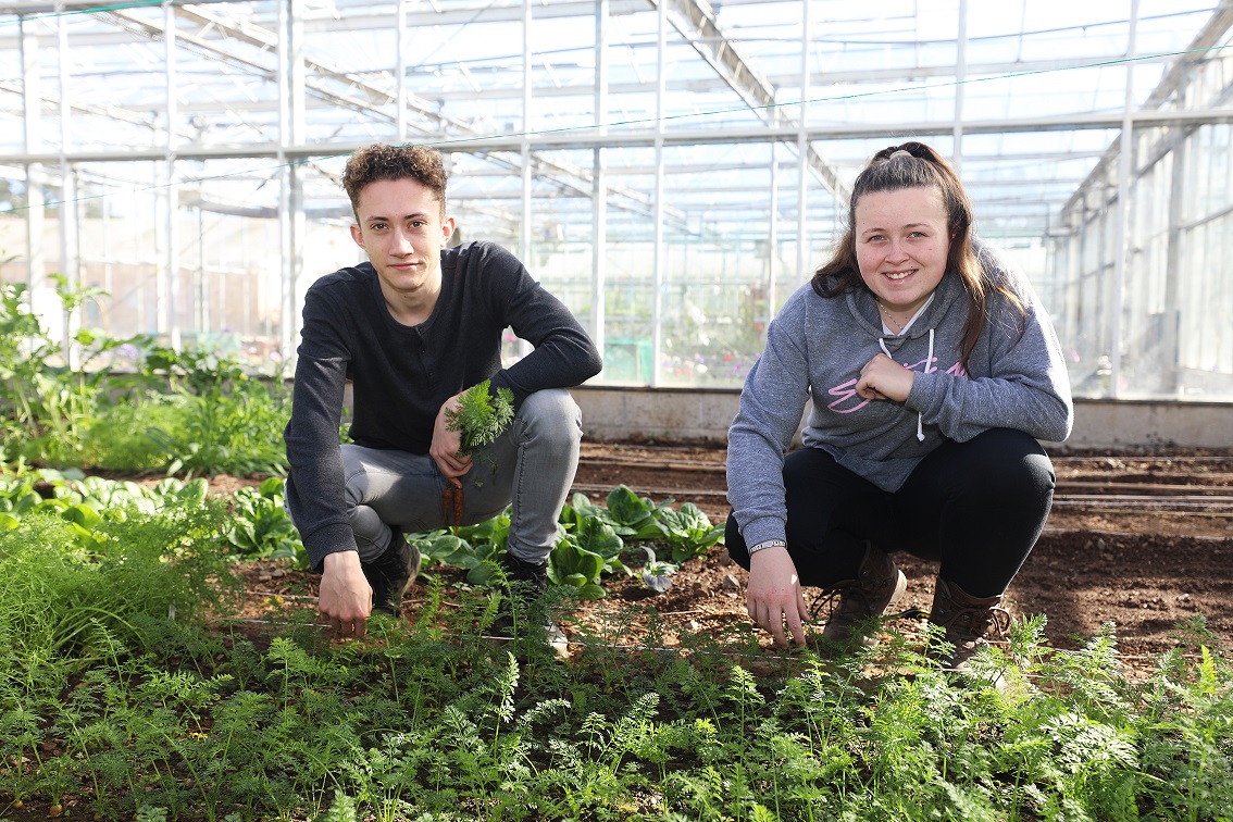 Horticulture students in greenhouse